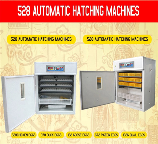 SHFN-528  egg incubator diagram