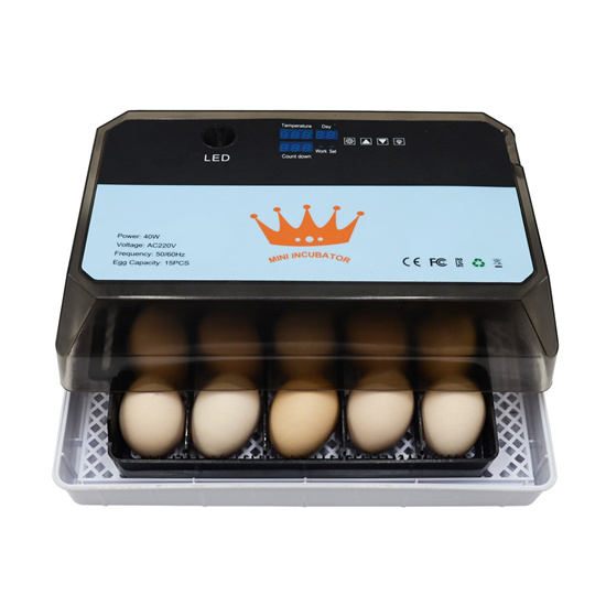 FM-15 mini egg incubator