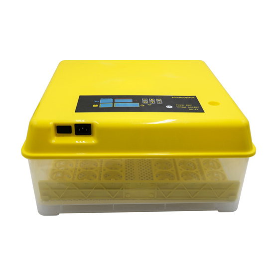 FM-48 mini egg incubator