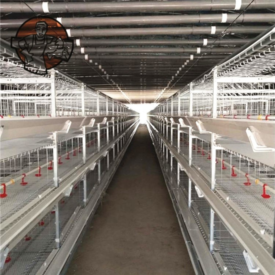 broiler cage system