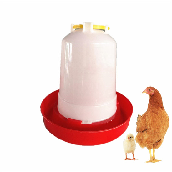 chicken bucket drinker