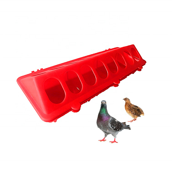 chicken feeder pigeon feeder box