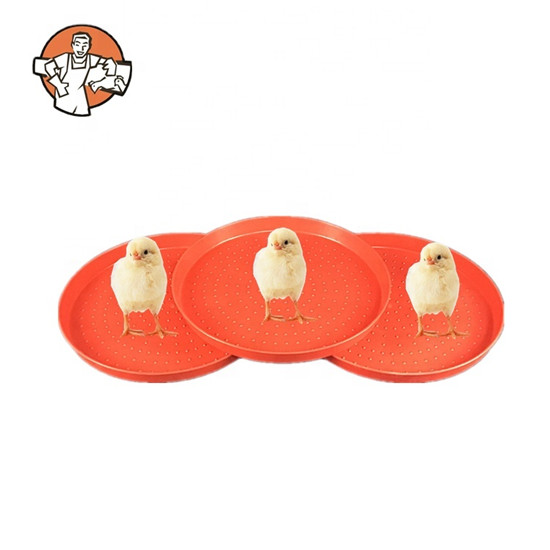 plastic chicken feed pan trays baby chick feeder