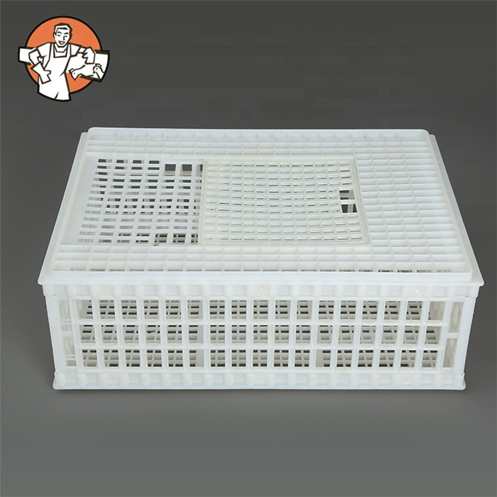 Poultry Equipment chicken plastic slat floor