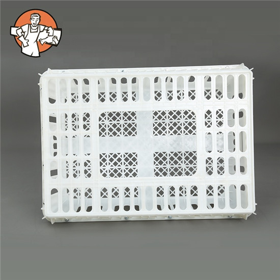 poultry chicken box for sale Live Plastic Crate