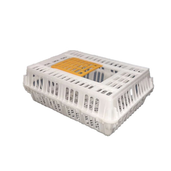 poultry equipment plastic transport crate