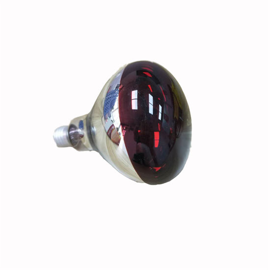 livestock infrared lamp explosion proof lamp